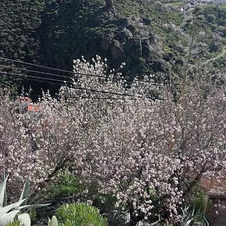 El Rincon Del Nublo