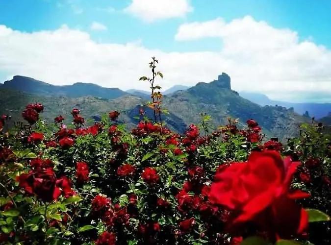 El Rincon Del Nublo Kır Evi